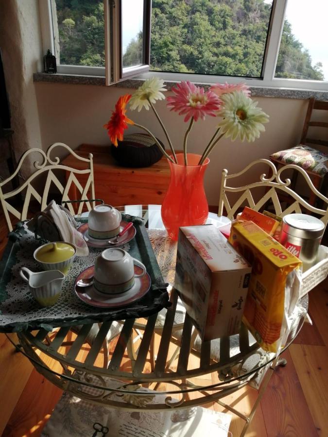 Villa La Casa Della Cindy à Dervio Extérieur photo